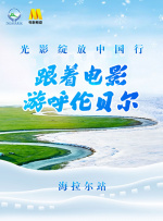 干网观看在线